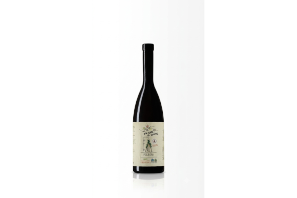 White Wines  Pé Nin Perde la Sumente Polegra Chardonnay Terre d’Abruzzo IGP - Cantina Orsogna 15,49&nbsp;€