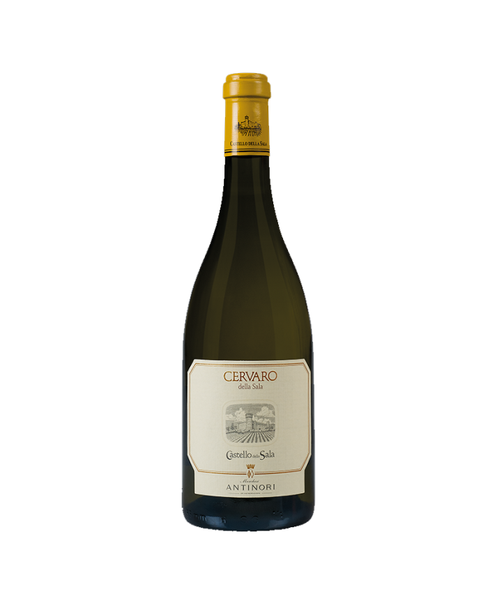 Weißweine  copy of Cervaro Della Sala 2022 Castello Della Sala - Antinori 51,56&nbsp;€