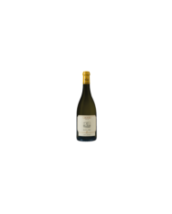 Weißweine  copy of Cervaro Della Sala 2022 Castello Della Sala - Antinori 51,56&nbsp;€