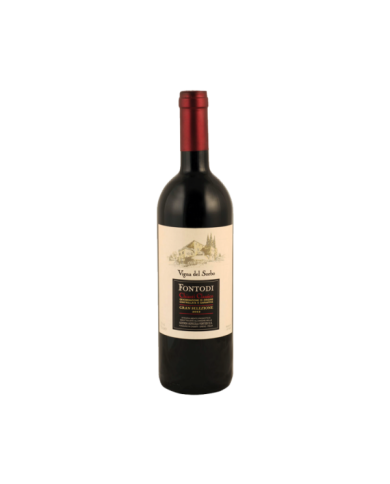 Red Wines  Chianti Classico DOCG Riserva Vigna Del Sorbo 2018 - Fontodi 57,30 €
