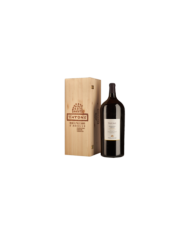 Vini Rossi  Tatone Montepulciano d'Abruzzo DOC Salmanasar 9 litri- Terra d'Aligi 204,84 â‚¬ Vini Rossi  Tatone Montepulciano d'Abruzzo DOC Salmanasar 9 litri- Terra d'Aligi 204,84 â‚¬