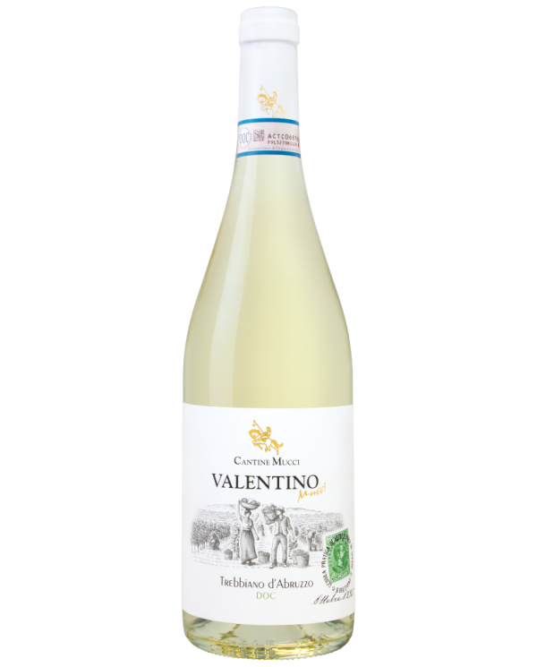 Weißweine  Valentino Trebbiano d’Abruzzo DOC -2023 - Cantine Mucci 9,80&nbsp;€