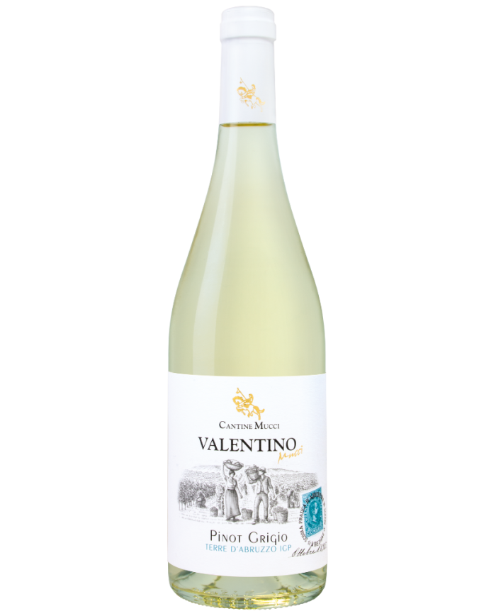 Weißweine  Valentino Pinot Grigio Terre di Chieti IGT 2025 - Cantine Mucci 9,80&nbsp;€