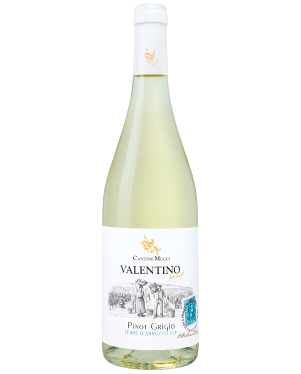 Vini Bianchi  Valentino Pinot Grigio Terre di Chieti IGT 2025 - Cantine Mucci 9,80&nbsp;€