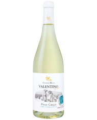 Weißweine  Valentino Pinot Grigio Terre di Chieti IGT 2025 - Cantine Mucci 9,80&nbsp;€