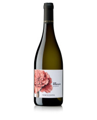 White Wines  San Domenico Marche Bianco IGT 2024 - Fontezoppa 13,38&nbsp;€