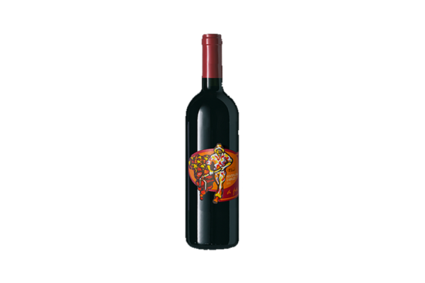 Rotweine  copy of A PA’ - Montepulciano d'Abruzzo DOC 2019 - Cantina Falon 8,11&nbsp;€