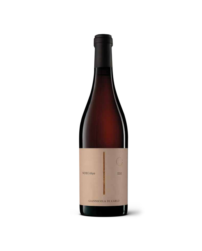 Rosé Wines  Nobu 1830 Merlot Rosato - Giannicola di Carlo 11,05&nbsp;€