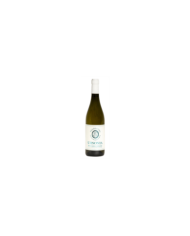 White wines  Ursonia Trebbiano D'Abruzzo DOC 2018 - Il Feuduccio 17,50 €