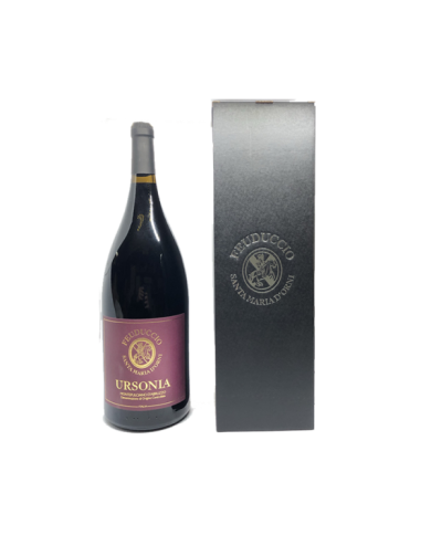 Red Wines  Ursonia Montepulciano d'Abruzzo DOC 2015 Magnum - Il Feuduccio 42,05 € Red Wines  Ursonia Montepulciano d'Abruzzo DOC 2015 Magnum - Il Feuduccio 42,05 €