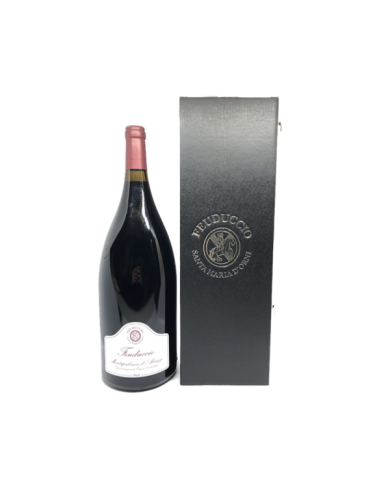 Red Wines  Montepulciano d'Abruzzo DOC 2015 Magnum - Il Feuduccio 25,82 € Red Wines  Montepulciano d'Abruzzo DOC 2015 Magnum - Il Feuduccio 25,82 €