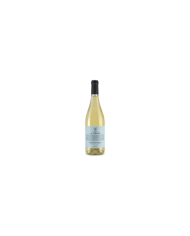 Witte Wijnen  Trebbiano d’Abruzzo D'Abruzzo DOC 2023 La Tessa - Spinelli 5,40 â‚¬ Witte Wijnen  Trebbiano d’Abruzzo D'Abruzzo DOC 2023 La Tessa - Spinelli 5,40 â‚¬