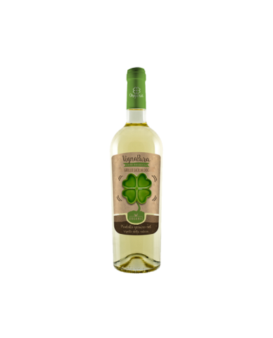 Witte Wijnen  VIGNA PURA Grillo DOC Sicilia Biologico 2020 - Fantini Farnese 11,07 â‚¬ Witte Wijnen  VIGNA PURA Grillo DOC Sicilia Biologico 2020 - Fantini Farnese 11,07 â‚¬