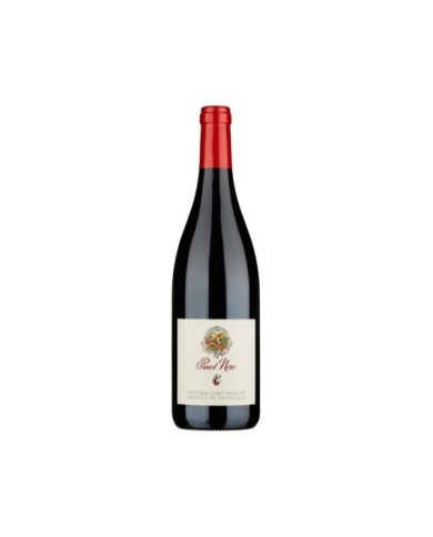 Startseite  Alto Adige Pinot Nero DOC 2017 - Abbazia di Novacella 14,18 € Startseite  Alto Adige Pinot Nero DOC 2017 - Abbazia di Novacella 14,18 €