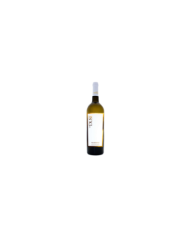 Witte Wijnen  Pecorino Igt La Duse 2019 - Cantine Paolucci 6,32 €