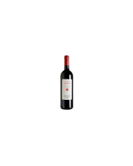 Red Wines  Castello del Terriccio Toscana IGT 2011 - Castello del Terriccio 66,17 €