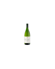 Witte Wijnen  Zibibbo Secco Gagliardetta DOC 2021 - Curatolo Arini 13,40 €