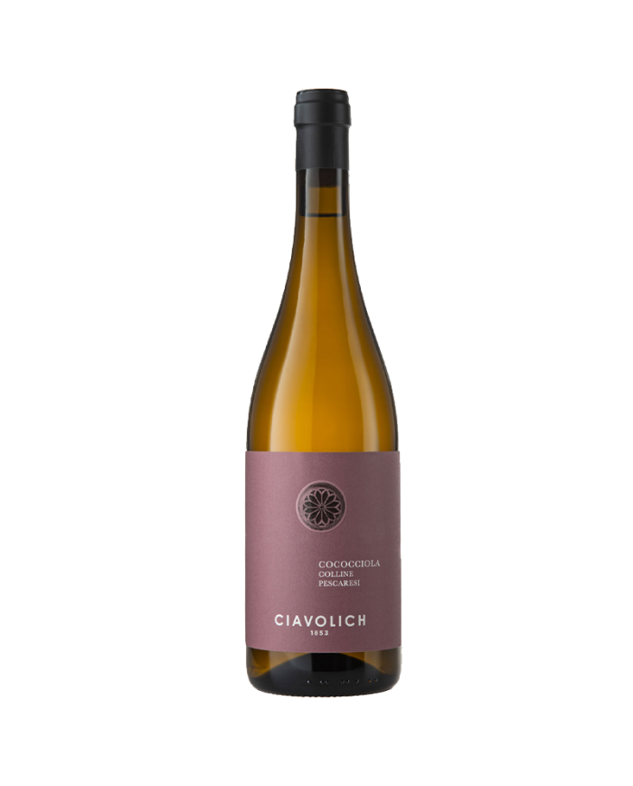Witte Wijnen  Cococciola Colline Pescaresi IGP 2022 - Ciavolich 10,33 €