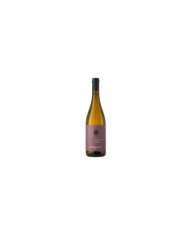 Witte Wijnen  Cococciola Colline Pescaresi IGP 2022 - Ciavolich 10,33 €