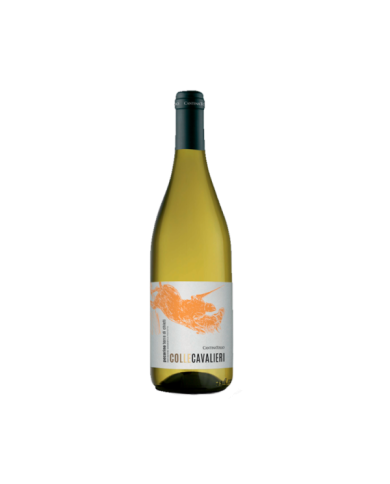 White wines  Colle Cavalieri Pecorino Terre di Chieti Igp 2022 - Cantina Tollo 4,43 €