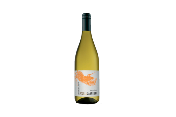 Vini Bianchi  Colle Cavalieri Pecorino Terre di Chieti Igp 2022 - Cantina Tollo 4,43&nbsp;€
