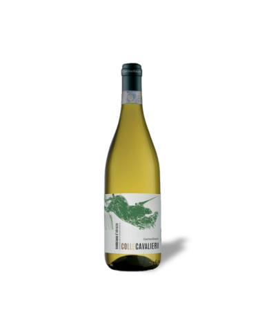 White wines  Colle Cavalieri Trebbiano D’Abruzzo Dop 2023 - Cantina Tollo 4,92 €