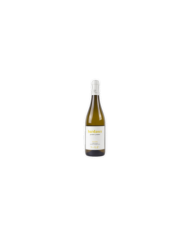 Witte Wijnen  Bardasce Pecorino IGT 2024 Colline Pescaresi - Tenuta De Melis 8,20 €