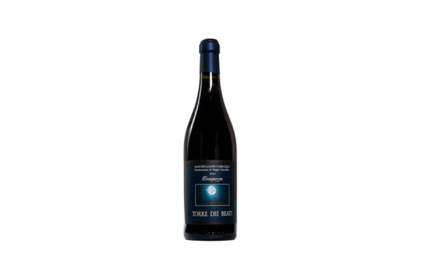 Vini Rossi  Cocciapazza Montepulciano d’Abruzzo DOC 2020 - Torre dei Beati 21,15&nbsp;€
