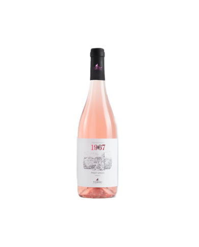 Vini Bianchi  1967 Pinot Grigio Ramato 2020 - Cantine Torri 7,49 €