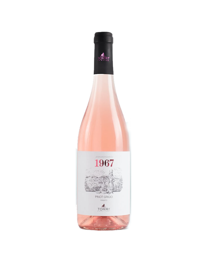 White wines  1967 Pinot Grigio Ramato 2020 - Cantine Torri 7,49 €
