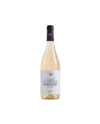Vini Bianchi  1967 Pinot Grigio IGT 2021 - Cantine Torri 9,02 €