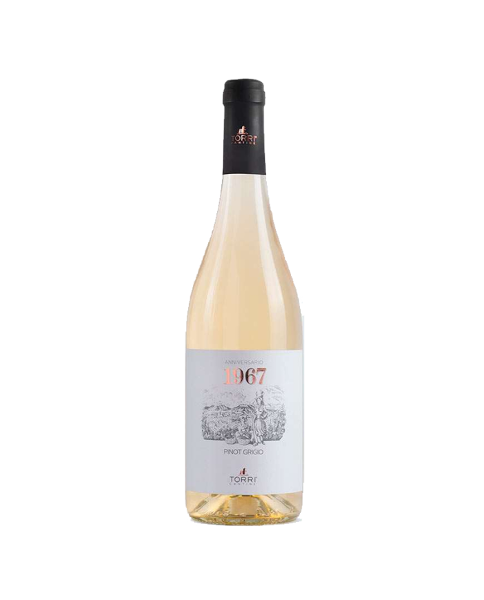 Witte Wijnen  1967 Pinot Grigio IGT 2021 - Cantine Torri 9,02 €