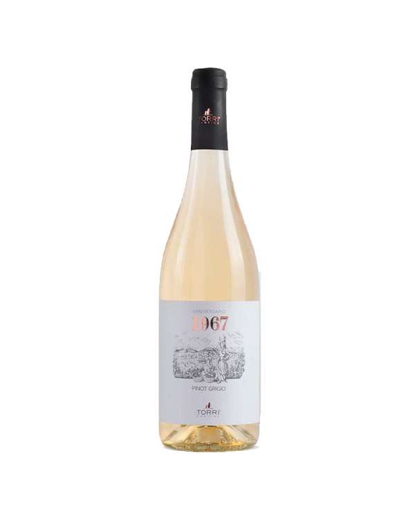 Witte Wijnen  1967 Pinot Grigio IGT 2021 - Cantine Torri 9,02 €
