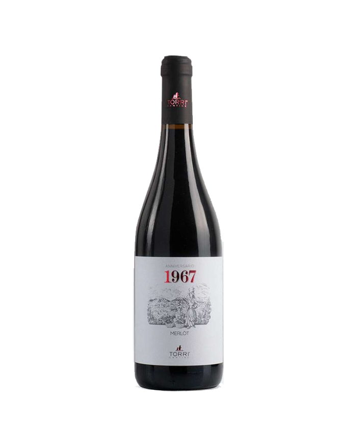 Rode wijnen  1967 Merlot 2020 - Cantine Torri 7,49 €