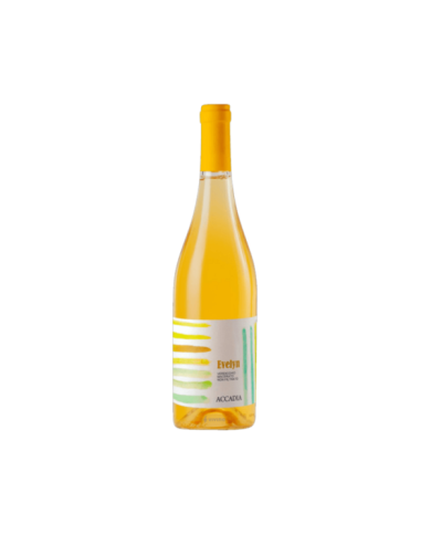 Witte Wijnen  Evelyn Verdicchio dei Castelli di Jesi Classico Macerato e Non Filtrato 2017 - Accadia 24,50 €
