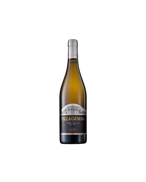 White wines  Colline Teatine Bianco IGT “Villa Gemma” 2019 - Masciarelli 10,90 €