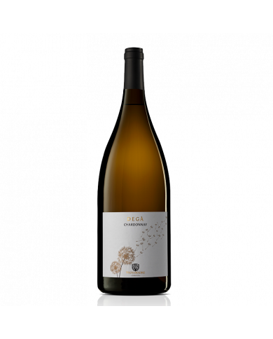 White wines  Degà - Chardonnay IGP 2021 Biologico - Vigna Madre 5,18 € White wines  Degà - Chardonnay IGP 2021 Biologico - Vigna Madre 5,18 €