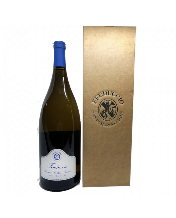 Vini Bianchi  Pecorino IGT Colline Teatine 2021 Magnum - Il Feuduccio 19,59 €