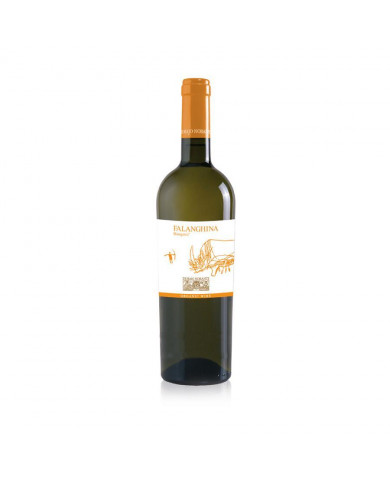 White wines  Falanghina Biorganic 2020 - Di Majo Norante 8,84 â‚¬ White wines  Falanghina Biorganic 2020 - Di Majo Norante 8,84 â‚¬