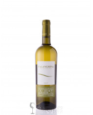 Witte Wijnen  Falanghina Falanghina del Molise DOC 2022 - Di Majo Norante 9,10 â‚¬ Witte Wijnen  Falanghina Falanghina del Molise DOC 2022 - Di Majo Norante 9,10 â‚¬