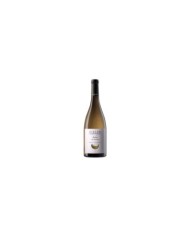 Witte Wijnen  Alto Adige Sauvignon DOC Indra 2023 - Girlan 14,50 €