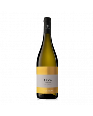 Witte Wijnen  IAVA - Chardonnay IGP 2022 Biologico - Vigna Madre 9,02 €