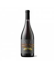 Rode wijnen  Terreum 91 Montepulciano d'Abruzzo DOC 2021 Biologico - Giannicola Di Carlo 9,10 €