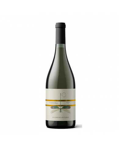 Witte Wijnen  Terreum 91 Passerina IGP 2021 Biologico - Giannicola Di Carlo 12,21 â‚¬ Witte Wijnen  Terreum 91 Passerina IGP 2021 Biologico - Giannicola Di Carlo 12,21 â‚¬