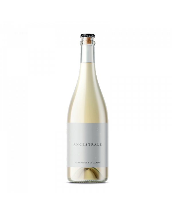 White wines  Ancestrale Bianco Frizzante - Giannicola Di Carlo - Vigna Madre 13,28 â‚¬ White wines  Ancestrale Bianco Frizzante - Giannicola Di Carlo - Vigna Madre 13,28 â‚¬