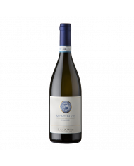 Vini Bianchi  Montefalco Bianco D.O.C. 2019 - Scacciadiavoli 11,20&nbsp;€