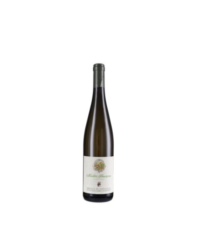 Startseite  Alto Adige Müller Thurgau 2019 - Abbazia di Novacella 11,72 € Startseite  Alto Adige Müller Thurgau 2019 - Abbazia di Novacella 11,72 €