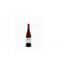 Rosé Wines  Pietra Majella Rosè 2022 - Cantina Miglianico 8,29 €
