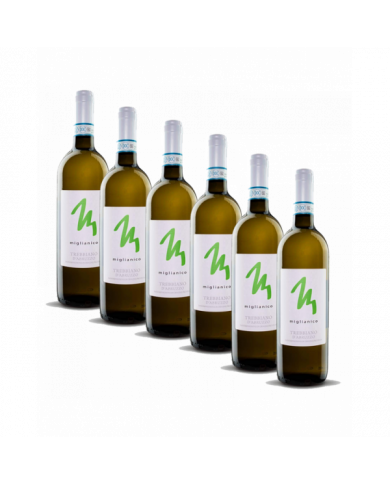 Vini Bianchi  6 Bottiglie Miglianico Trebbiano d’Abruzzo DOP 2021 - Cantina Miglianico 19,67 €