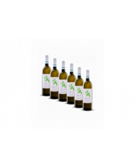 Vini Bianchi  6 Bottiglie Miglianico Trebbiano d’Abruzzo DOP 2021 - Cantina Miglianico 19,67 â‚¬ Vini Bianchi  6 Bottiglie Miglianico Trebbiano d’Abruzzo DOP 2021 - Cantina Miglianico 19,67 â‚¬